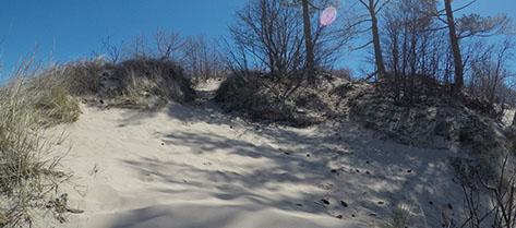 Indiana Dunes National Park